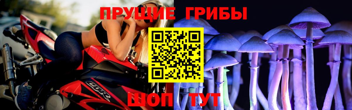 Галлюциногенные грибы GOLDEN TEACHER  Вход с VPN  где найти   Горно-Алтайск  Галлюциногенные грибы мухоморы 